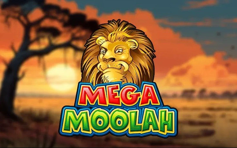 Try your skills in Mega Moolah slot game at Nagad88.